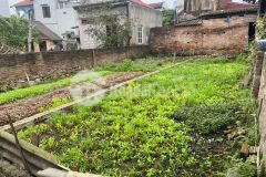 Cc nhờ bán nhanh 100m2 đường ô tô 7 chỗ đào xuyên, xã đa tốn, gia lâm, hà nội.