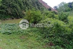 Cần bán 1700m2 dt thực 3000m2 trong đó có 1000m2 cln, còn lại là đất trồng lúa có thể lên ont