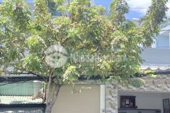 Bán nhà mặt tiền gần cầu tân thuận, q7 vị trí kdbb sầm uất