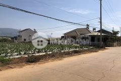 Em chính chủ cần bán lô đất nền tại đồi bạch đằng thị trấn thạnh mỹ. chỉ 800trieu