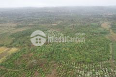 Cần bán đất đắk lắk giá đầu tư chỉ 70.000đm2