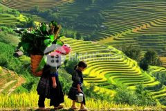 Cực hiếm bán lô đất vị trí đón đầu xu hướng thôn sả xéng, tả phìn, sapa.