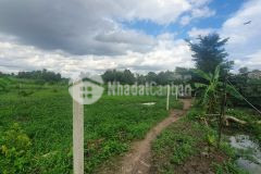 Đất tam bình cò bay thẳng cánh dt gần 2000m2 chỉ 6.x tỷ