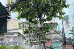 Bán nhà hẻm xe hơi đất thánh quận tân bình 60m2x2 giá 5 tỷ. 0902748060