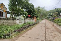 800triệu có 520m2 đất sổ đỏ, ô tô vào tận đất mỹ đức hà nội.