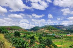 Chính chủ bán nhanh lô đất nền thị trấn nam ban lâm hà tổng diện tích 536m2. bao sổ