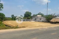 Dt720 tân phúc hàm tân 26x41 5,3 tỷ