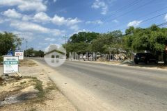 Dt720 tân phúc hàm tân 12x96 4 tỷ 100 thổ