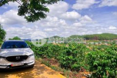 Chính chủ bán gấp lô đất đông thanh ngay trung tâm thị trấn nam ban lâm hà. sổ riêng, bao sổ