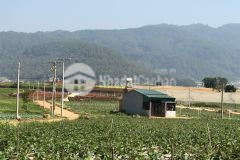 Chính chủ cần ra nhanh lô đất tại khu bạch đàn, thị trấn thạnh mỹ, đơn dương, lâm đồng với giá 800