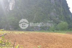 Cần tìm chủ mới cho 2000m2 đất thổ cư dt thực 1ha ở hợp thanh