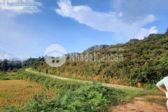 Bán gấp lô đất vị trí đón đầu xu hướng thôn tà chải, tả phìn sapa. giá nhỉnh 1 tỷ.