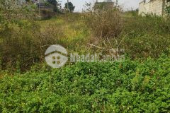 Chính chủ cần ra đi lô đất nghỉ dưỡng giá f0