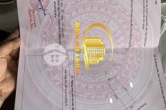 Siêu phẩm tt sịa cạnh sân bóng