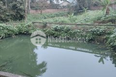 Chính chủ bán đất thổ cư tại xã hòa sơn, huyện lương sơn, hòa bình