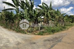 Đất nền đầu tư, định cư giá tốt diện tích 5x22 100 thổ cư