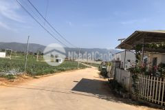 Chính chủ bán lô đất ngay đồi bạch đàn thị trấn thạnh mỹ1 tổng diện tich 139m2 có sẵn thổ cư