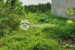 Nền đẹp gần chợ và trường học cơ sở thường thạnh giá dưới 800 triệu