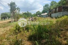 Đất tân an hội 1200m2,có 300m2 thổ cư, chỉ 5.5tỷ, tân an hội củ chi.