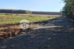 Bán đất đắk lắk khu vực trung tâm siêu rẻ chỉ 2xxtr