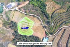 Mảnh đất tiềm năng đầu tư du lịch sa pa