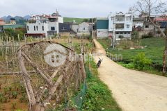 Bán đất nền mộc châu view đồi chè cực đẹp phù hợp làm second home