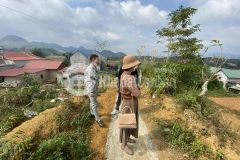 Mảnh đất hơn 1000m2 ở chiềng đi, mộc châu thích hợp xây dựng khách sạn đón khách du lịch