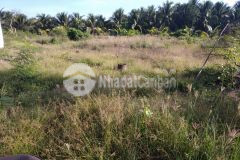 Cần bán đất ấp phước thuận, xã phước thạnh diện tích rộng