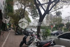 Hàng hot phố nguyễn ngọc vũ 85m 10.2 tỷ 20m ra phố. khai thác dòng tiền ổn định.