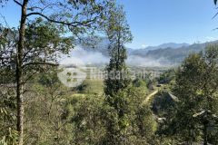 Do đại dịch covid cần bán nhanh mảnh đất có diện tích hơn 200m2 tại sả xéng thích hợp đầu tư sinh lờ