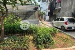 Bán đất tại an lạc, thị trấn trâu quỳ, huyện gia lâm, hà nội.