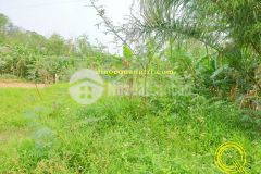 Cần bán đất khu phố đại áng đông lương đông hà0328772473