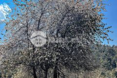 Bán đất nền sapa gần các tiện ích, giá đầu tư, thanh khoản nhanh