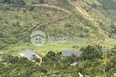 Bán 4094m2 đất tại mê linh. lâm hà giá ưu đãi