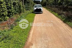 Cư m gar chưa bao giờ hết hot