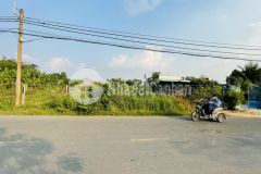 Cần bán gấp miếng đất vườn 1446m2 ở củ chi đường xe hơi quay đầu giá 3 tỷ 050