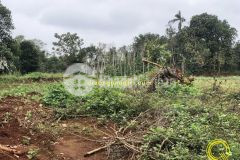 Bán lô đất mặt tiền đường nhựa tt. gio linh giá chỉ 1.xxx triệu