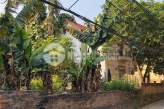 Bán đất phố trạm long biên lô góc, 5m ra ô tô tránh sổ vuông hơn 2 tỷ.