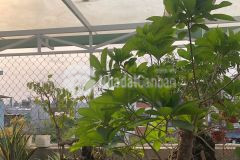 Bán nhà 3 tầng hoà xuân, cẩm lệ, đà nẵng giá 4tỷ 9