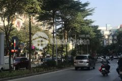 Bán nhà phố nguyễn thị định, cầu giấy,69m,7t,tm,kinh doanh, 20 tỷ 0904656981