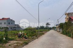 Bán đất chí minh, tứ kỳ, hải dương, dt 197.2m2, mt 8.08, đường trục thông, giá tốt, vị trí ok