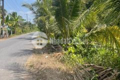 Bán 3 nền mặt tiền nguyễn viết xuân, bình thuỷ cần thơ