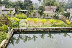 Bán nhanh lô đất tổng dt 6500m2 trong đó có 400m thổ cư 3200m đất vườn còn lại là rsx