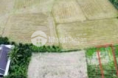 Diên bình diên khánh 309m2 chỉ 1,490tỷ