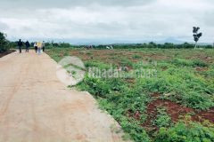 Siêu phẩm phi tô,lâm hà với hơn 1000m2 giá chỉ từ 1 tỷ 100 triệu