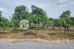 Bán đất vườn xoài 2.200m2750tr xào tại la ngà định quán đồng nai