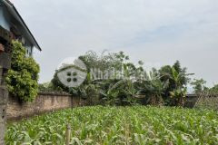 Bán gấp lô đất có dt 360m2 trong đó có 133m thổ cư còn lại là cây lâu năm