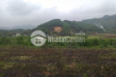 Bán gấp gần 1000m2 trong đó có 150m2 thổ cư còn lại là đất vườn