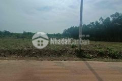 Bán đất chính chủ sổ sẵn có tên đường đường ô tô 6 sào 6300m2 lộc ninh, bình phước