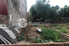 Bán mảnh đất cực hiếm tại xuân bách đối diện kcn nọi bài giá 1.7 tỷ